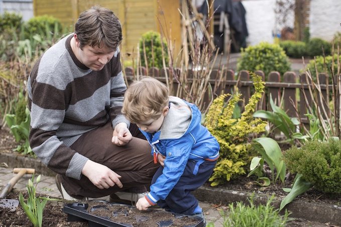 Father and son gardening